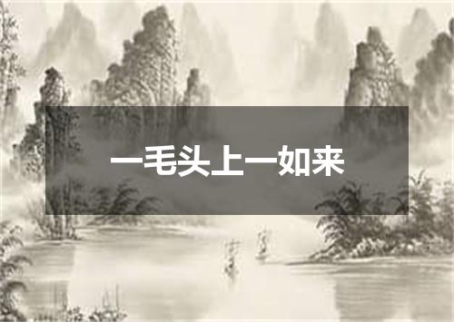 一毛头上一如来