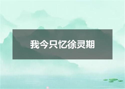 我今只忆徐灵期