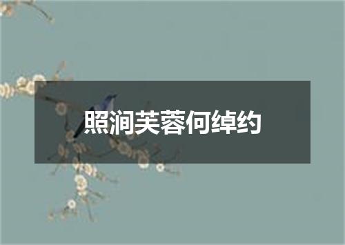 照涧芙蓉何绰约