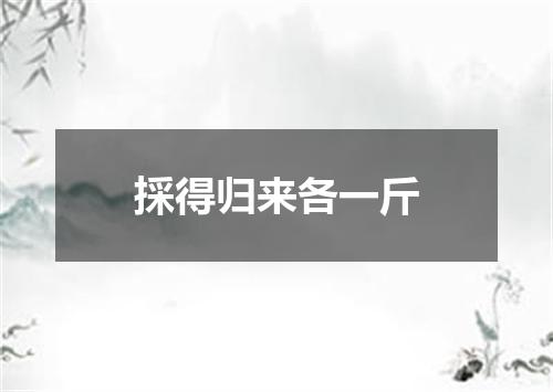 採得归来各一斤