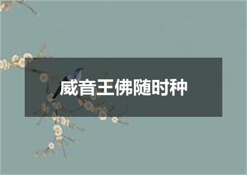 威音王佛随时种