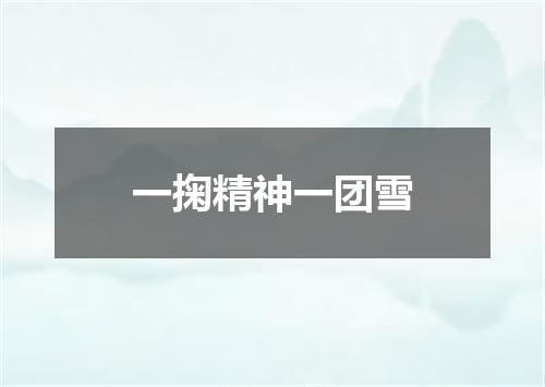 一掬精神一团雪
