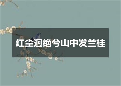 红尘迥绝兮山中发兰桂