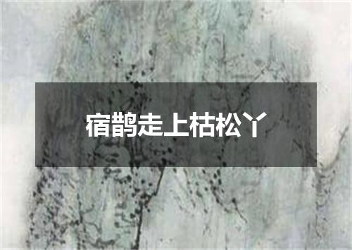宿鹊走上枯松丫