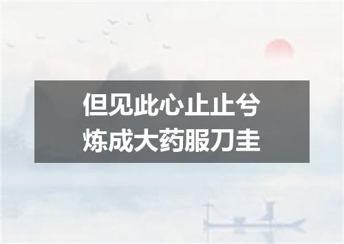 但见此心止止兮炼成大药服刀圭