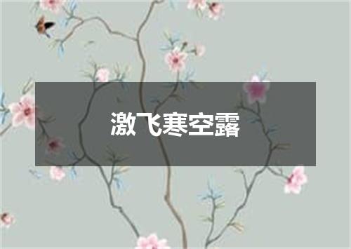 激飞寒空露