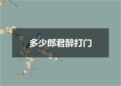 多少郎君醉打门