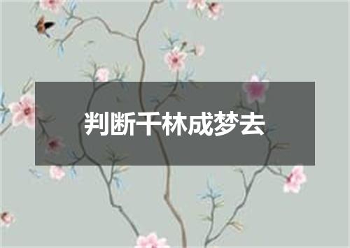 判断千林成梦去