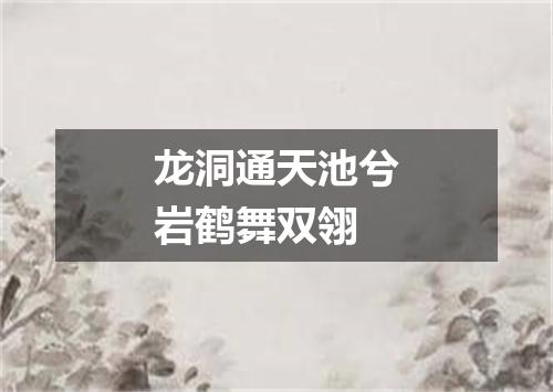 龙洞通天池兮岩鹤舞双翎