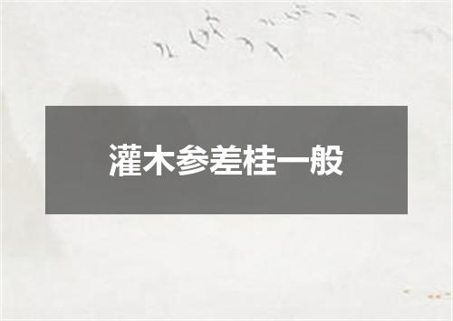 灌木参差桂一般