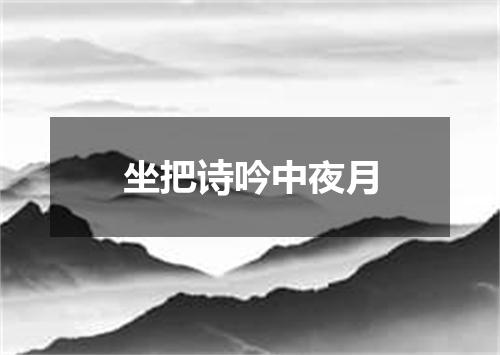 坐把诗吟中夜月