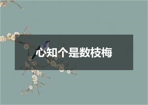 心知个是数枝梅