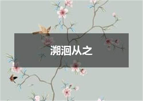 溯洄从之
