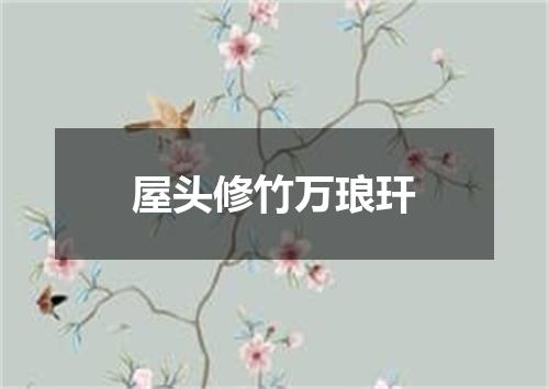 屋头修竹万琅玕