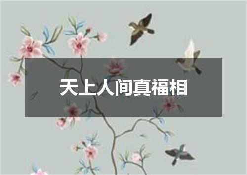 天上人间真福相