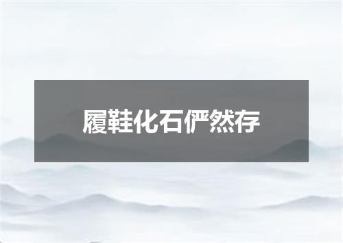 履鞋化石俨然存
