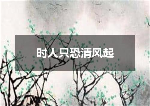 时人只恐清风起