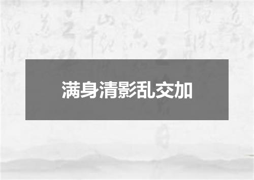 满身清影乱交加