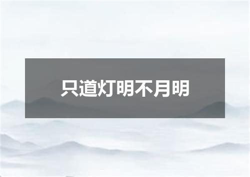 只道灯明不月明
