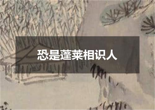 恐是蓬莱相识人