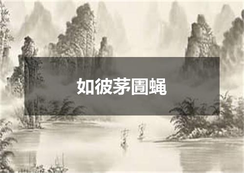 如彼茅圊蝇