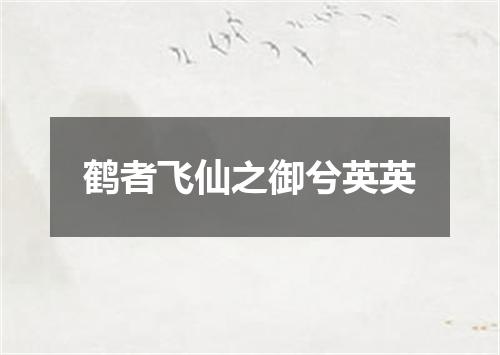鹤者飞仙之御兮英英