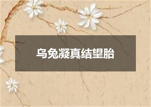 乌兔凝真结望胎