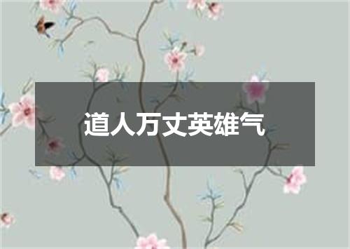 道人万丈英雄气