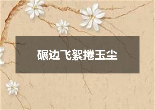 碾边飞絮捲玉尘