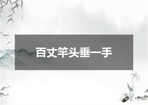 百丈竿头垂一手