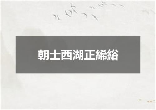 朝士西湖正絺綌