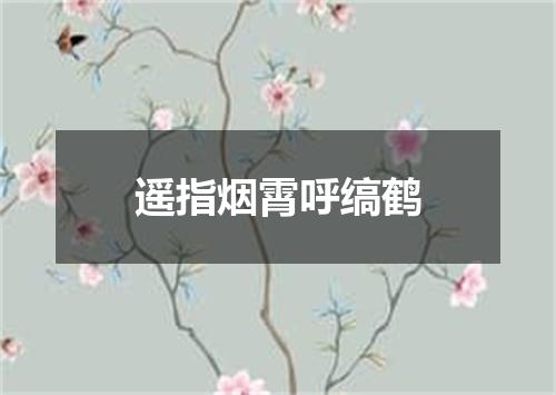 遥指烟霄呼缟鹤