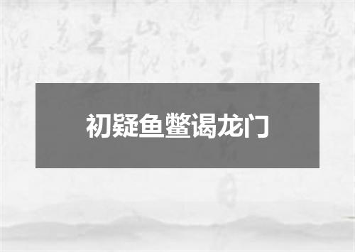 初疑鱼鳖谒龙门