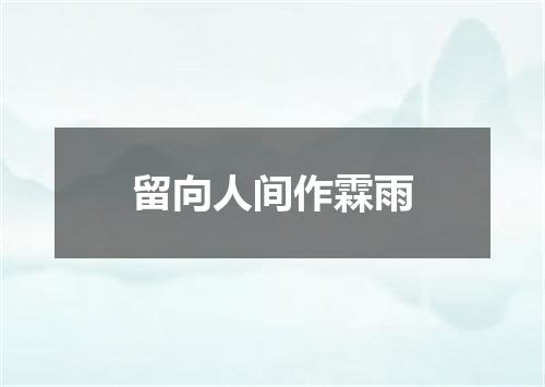 留向人间作霖雨