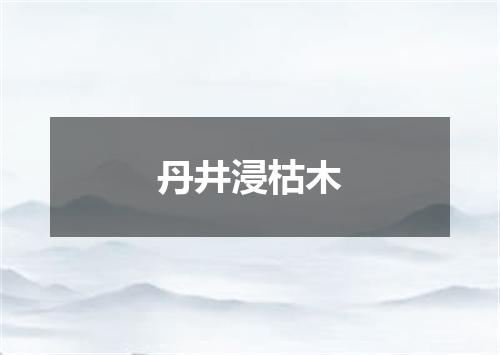 丹井浸枯木