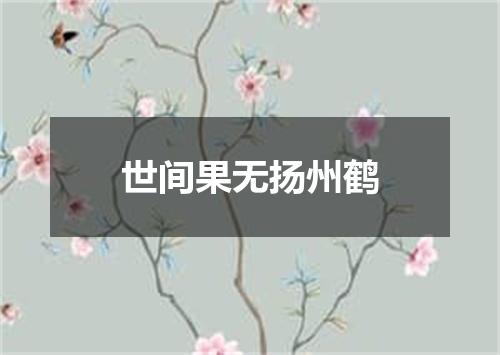 世间果无扬州鹤