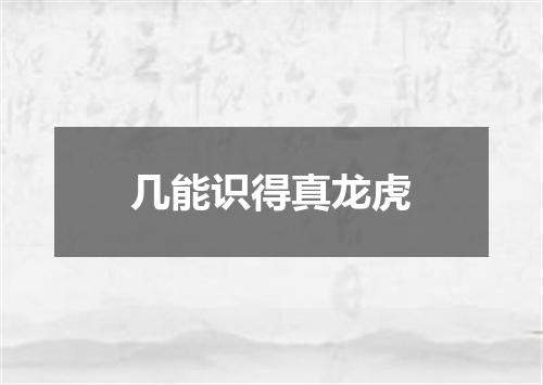 几能识得真龙虎