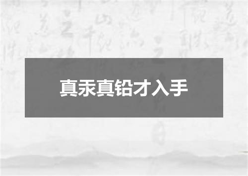 真汞真铅才入手