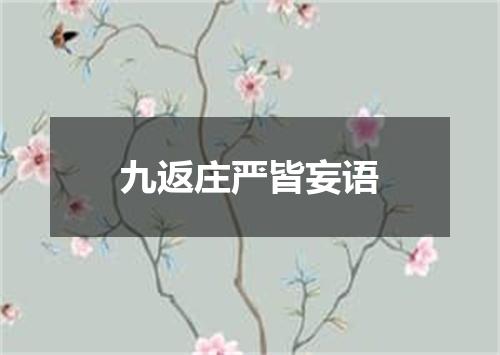 九返庄严皆妄语