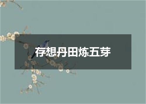 存想丹田炼五芽