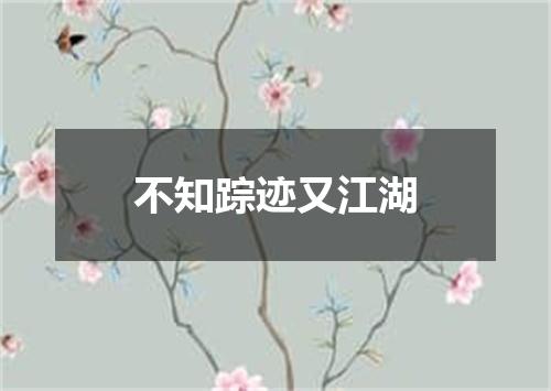 不知踪迹又江湖