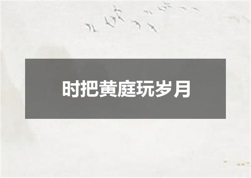 时把黄庭玩岁月