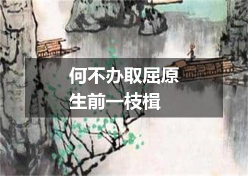 何不办取屈原生前一枝楫