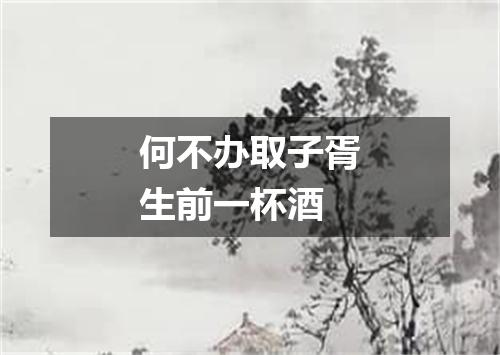 何不办取子胥生前一杯酒
