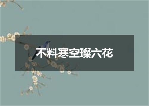 不料寒空璨六花