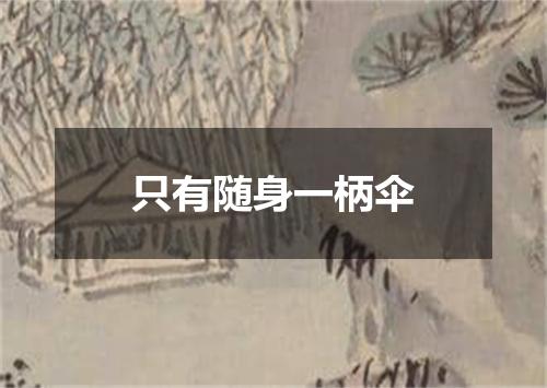 只有随身一柄伞