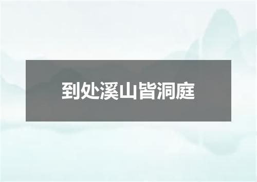 到处溪山皆洞庭