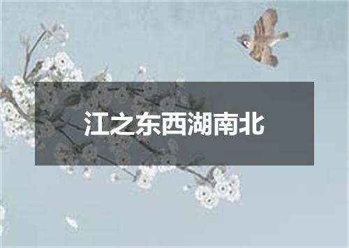 江之东西湖南北