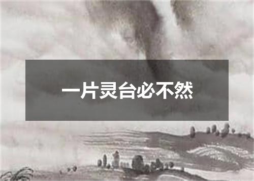 一片灵台必不然