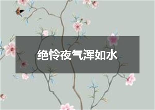 绝怜夜气浑如水
